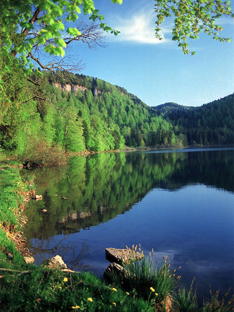 Le lac de Bonlieu