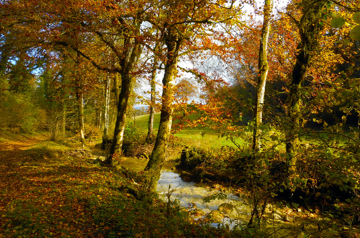 ruisseau
